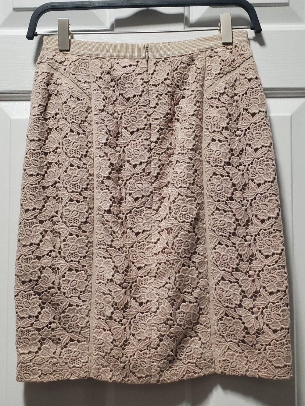 Ann Taylor Lined Lace Pencil Skirt in Pink | 0 - Picture 4 of 5